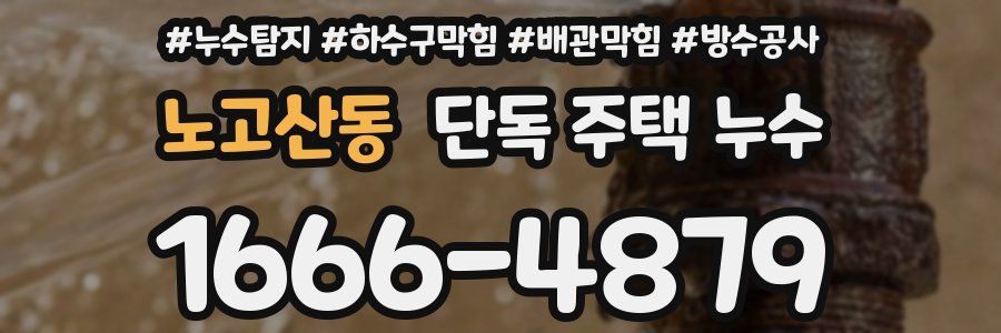 노고산동 단독 주택 누수