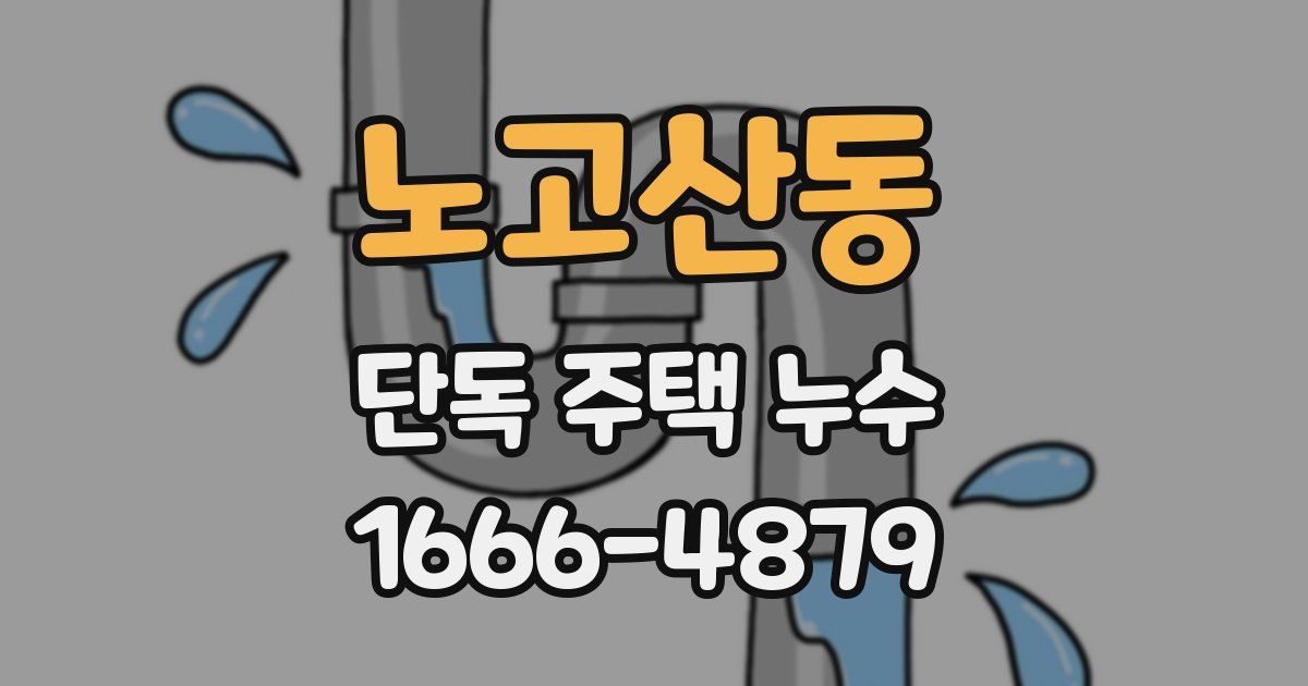노고산동 단독 주택 누수