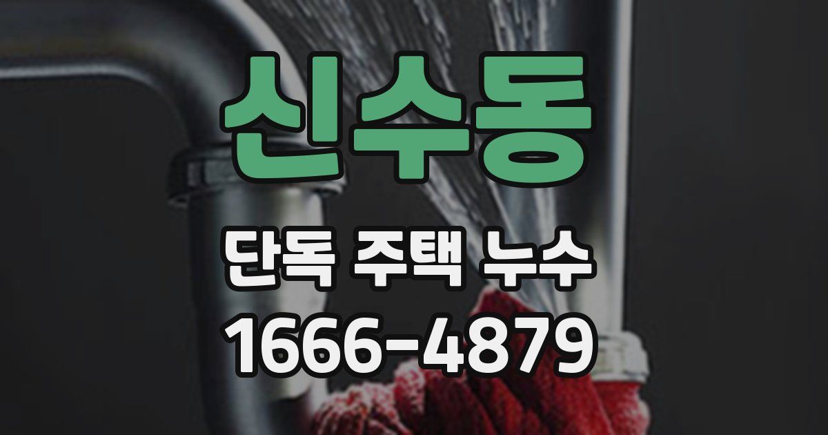 신수동 단독 주택 누수