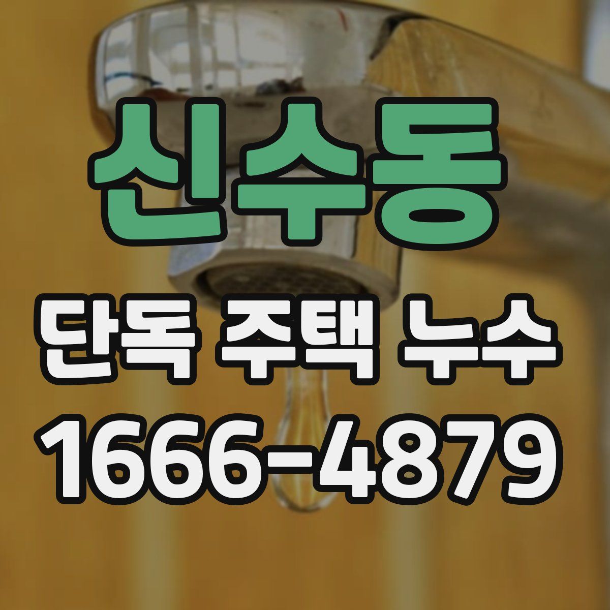 신수동 단독 주택 누수
