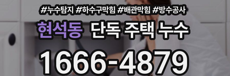 현석동 단독 주택 누수
