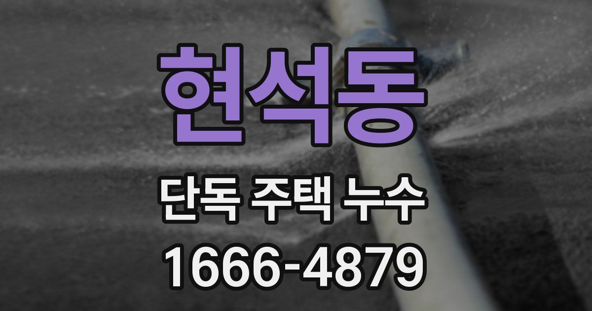 현석동 단독 주택 누수