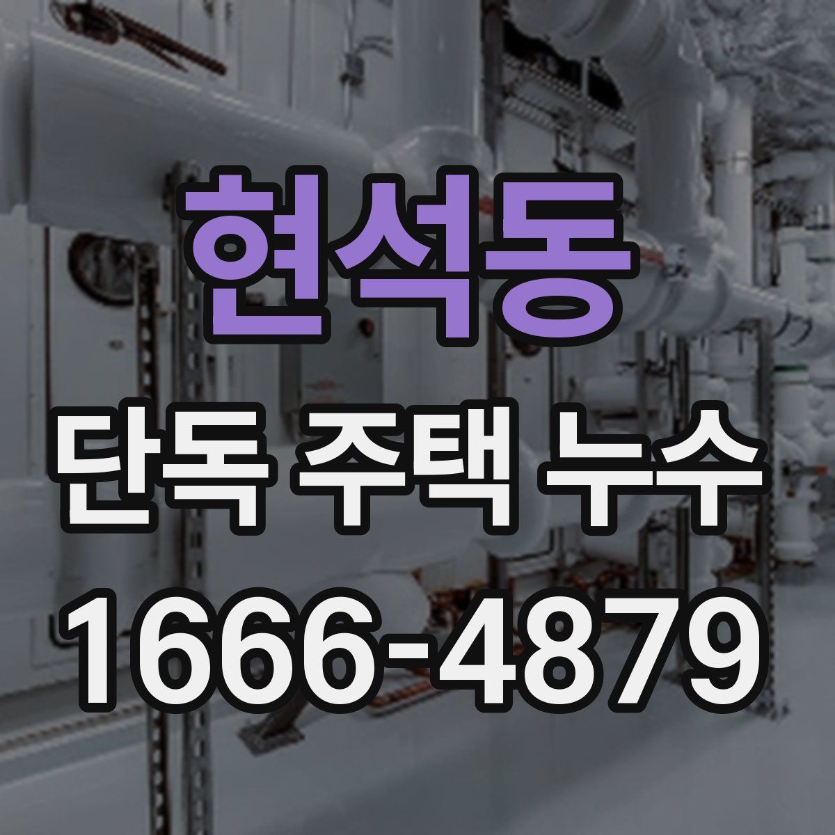 현석동 단독 주택 누수