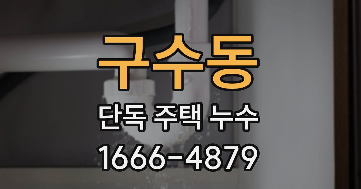 구수동 단독 주택 누수