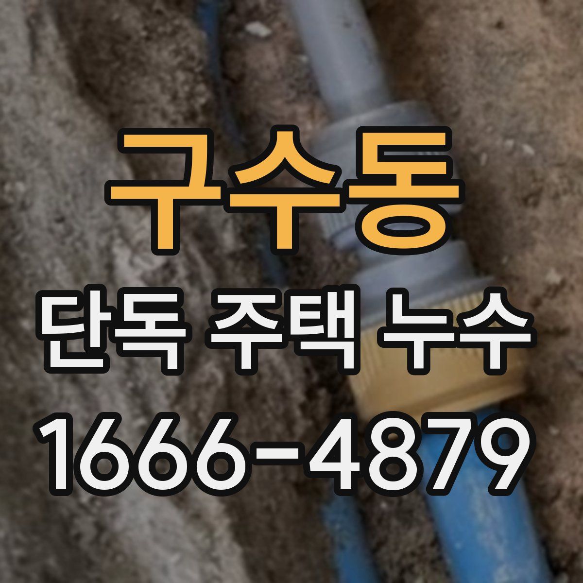 구수동 단독 주택 누수