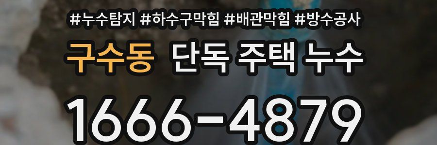 구수동 단독 주택 누수