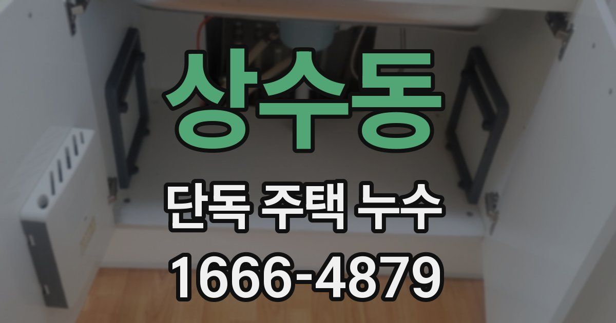 상수동 단독 주택 누수