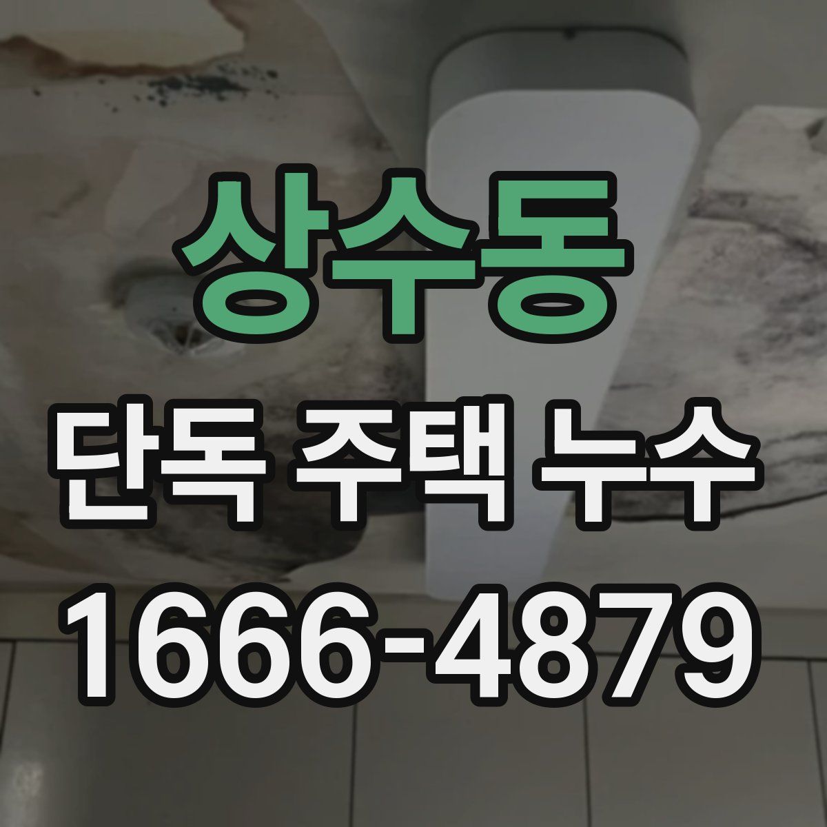 상수동 단독 주택 누수