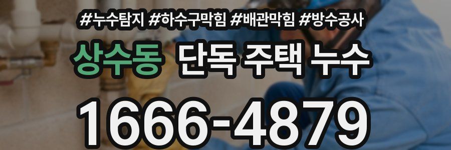 상수동 단독 주택 누수