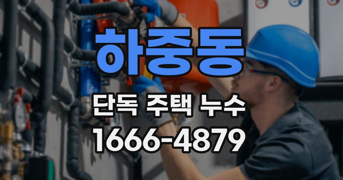 하중동 단독 주택 누수