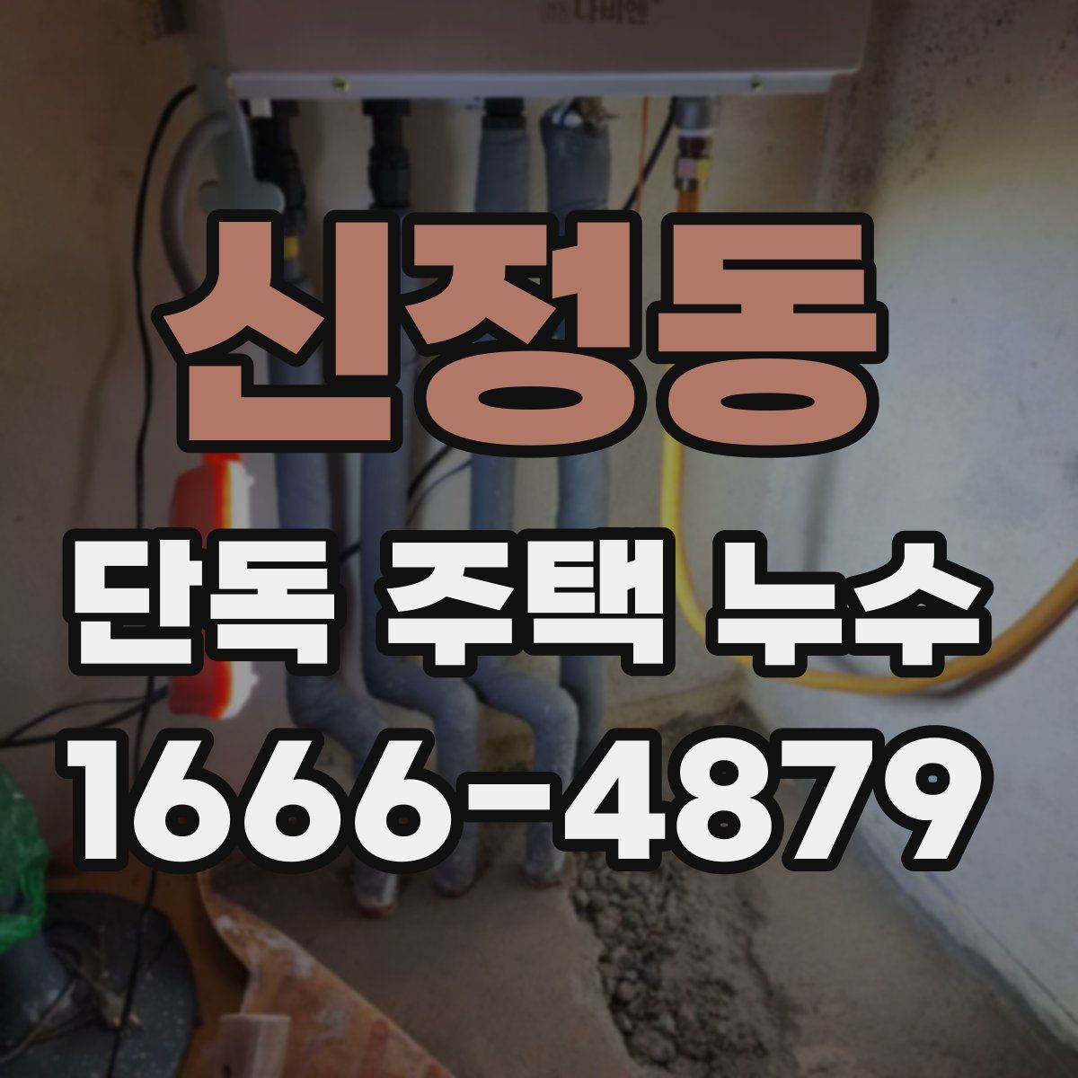신정동 단독 주택 누수