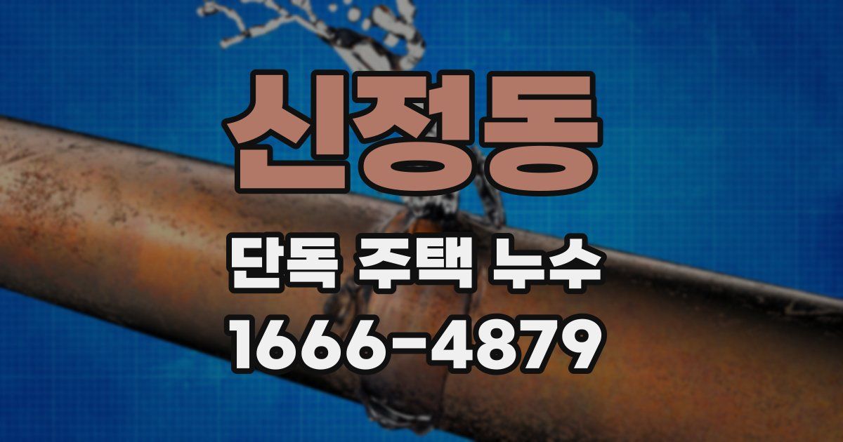 신정동 단독 주택 누수