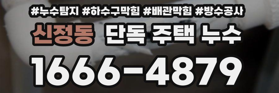 신정동 단독 주택 누수