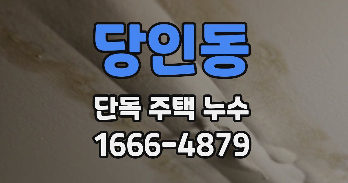 당인동 단독 주택 누수