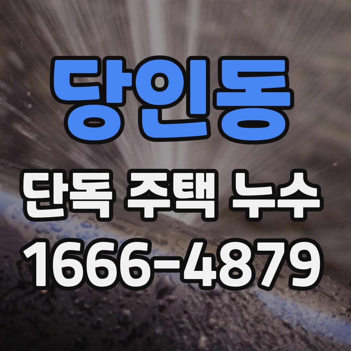 당인동 단독 주택 누수
