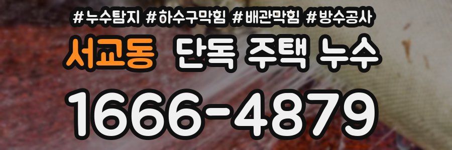 서교동 단독 주택 누수