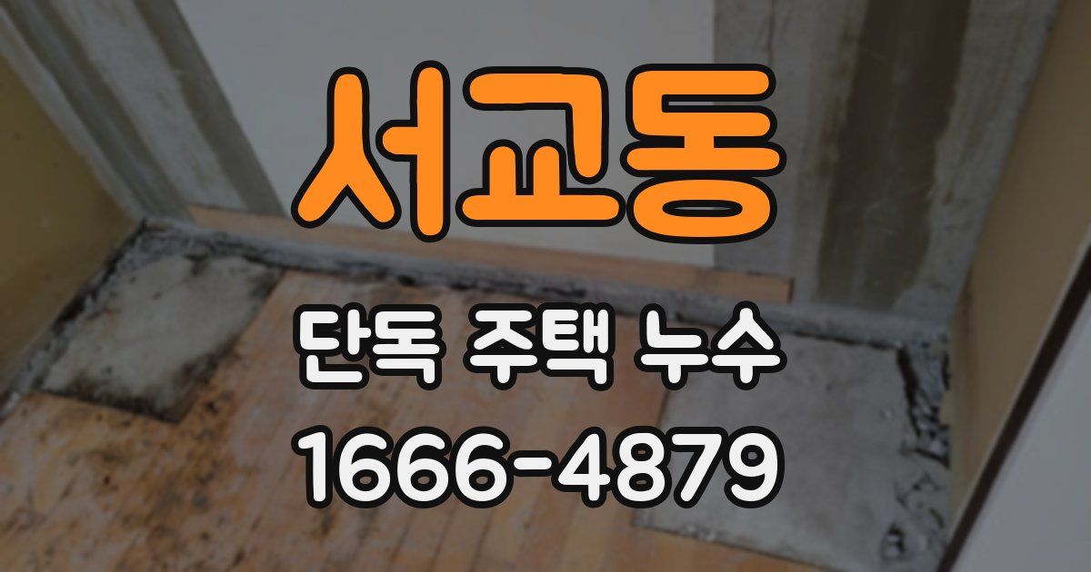 서교동 단독 주택 누수