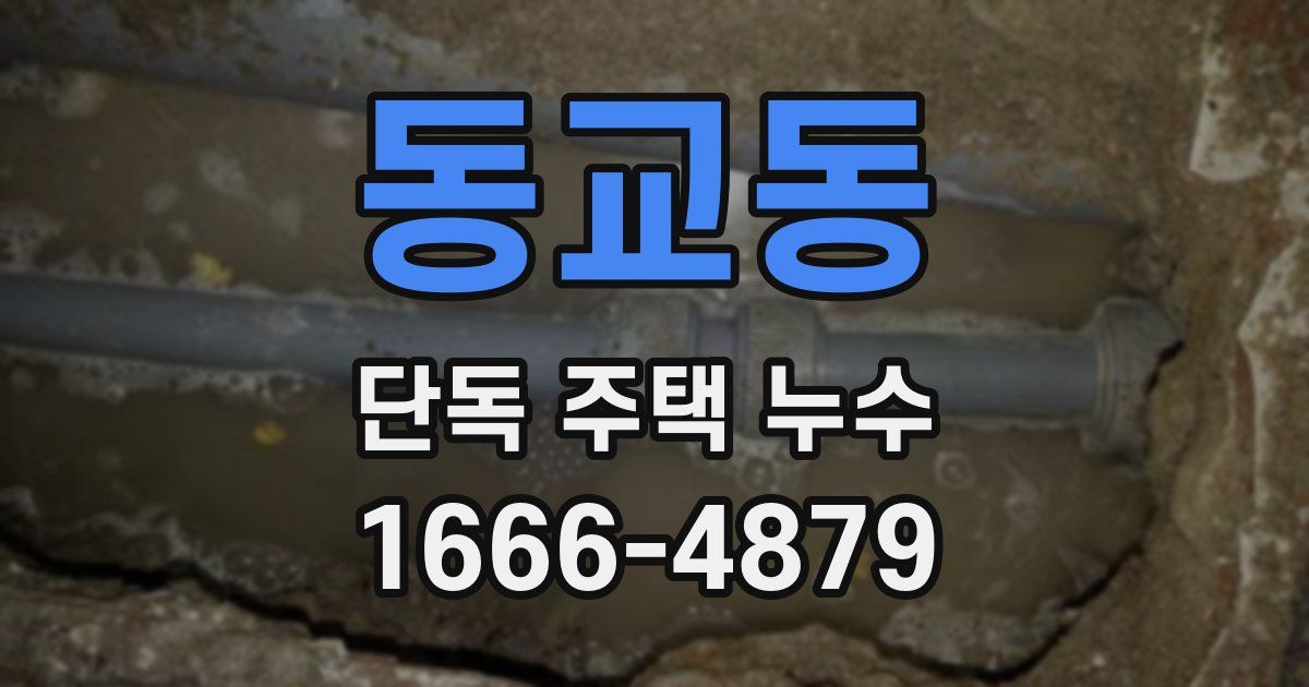 동교동 단독 주택 누수