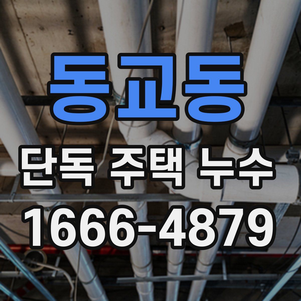 동교동 단독 주택 누수