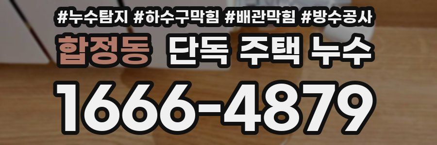 합정동 단독 주택 누수