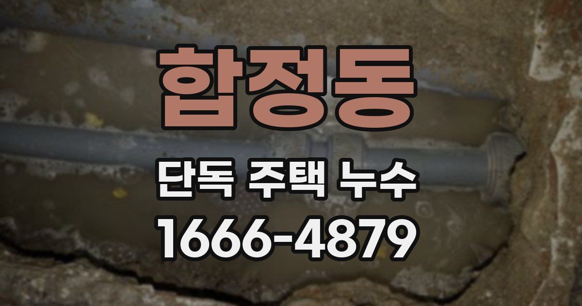 합정동 단독 주택 누수