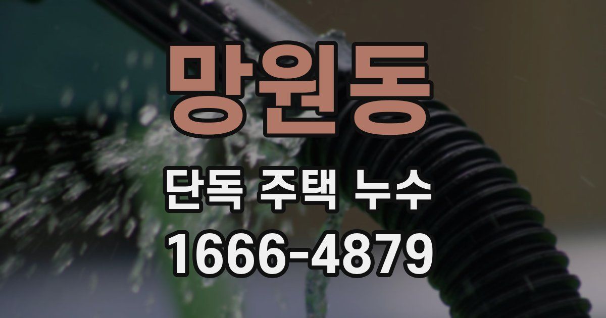 망원동 단독 주택 누수