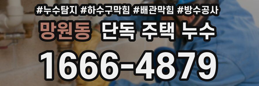 망원동 단독 주택 누수