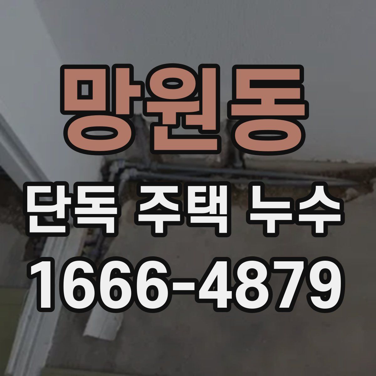 망원동 단독 주택 누수