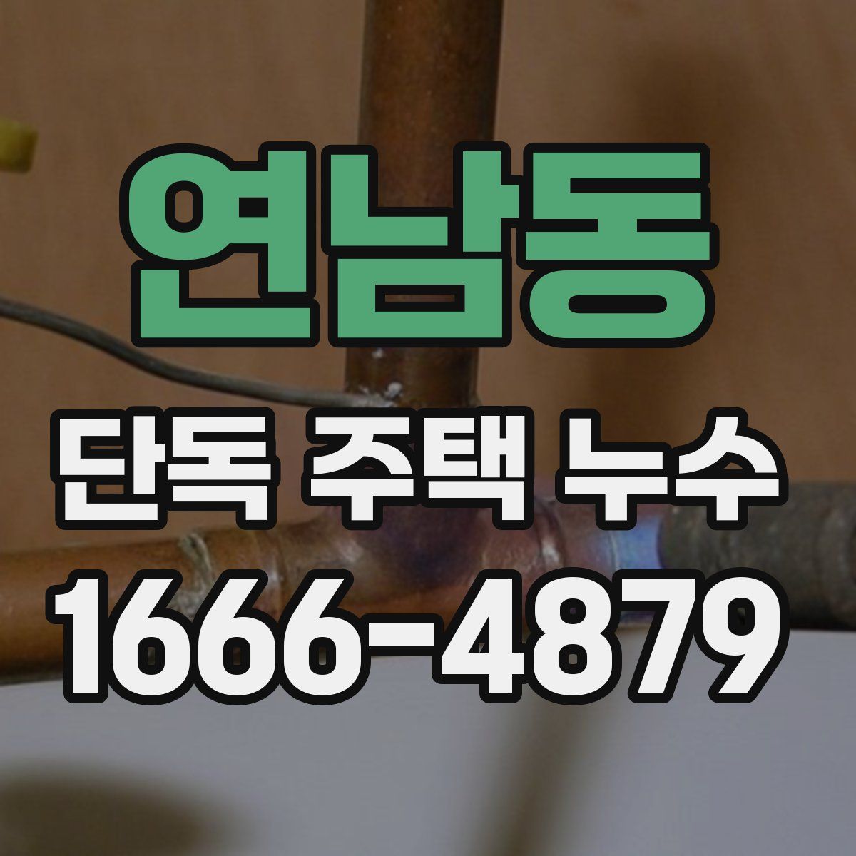 연남동 단독 주택 누수