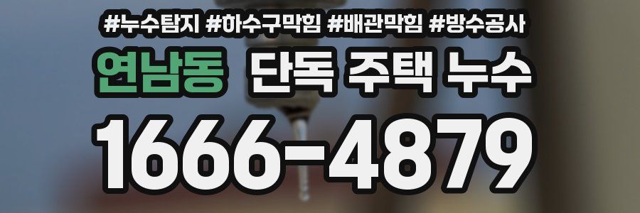연남동 단독 주택 누수