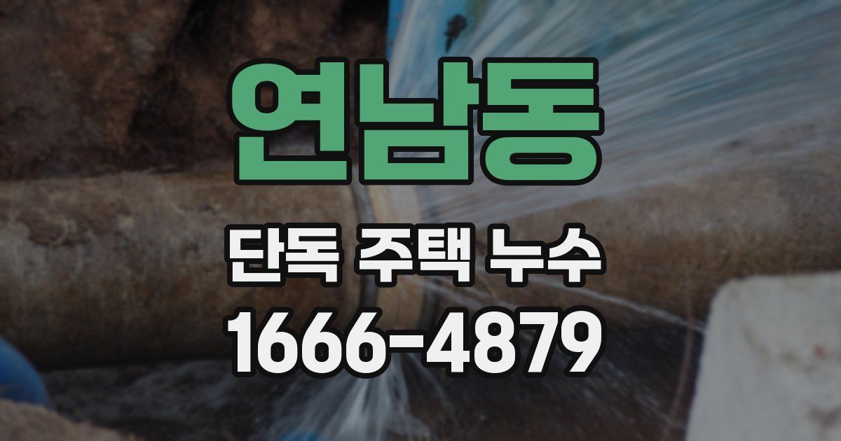 연남동 단독 주택 누수