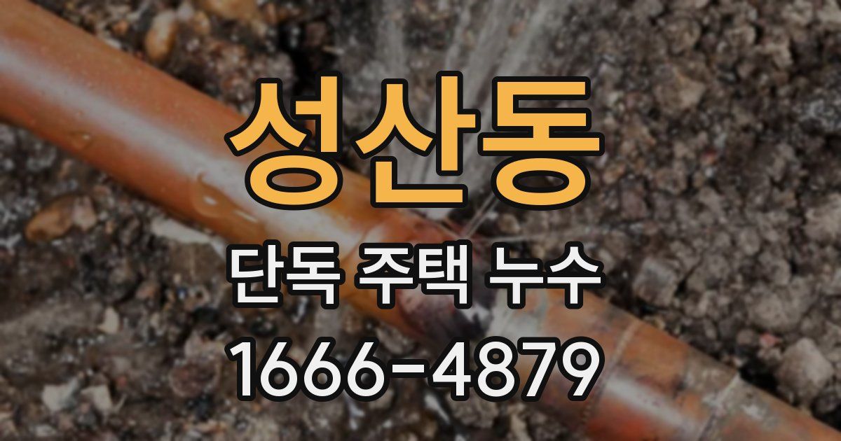 성산동 단독 주택 누수