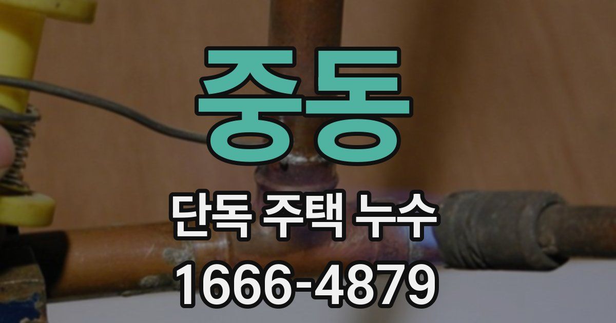 중동 단독 주택 누수