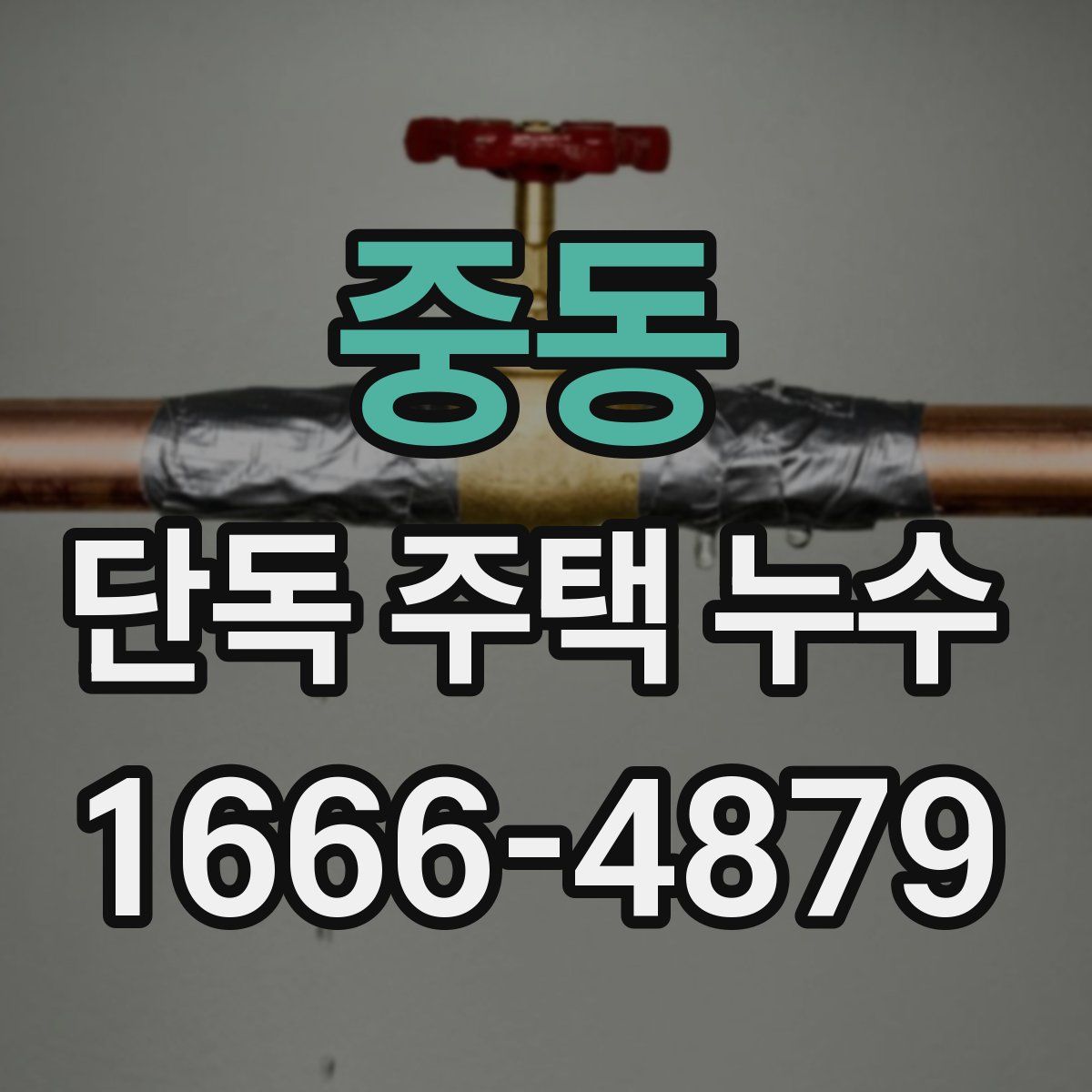 중동 단독 주택 누수