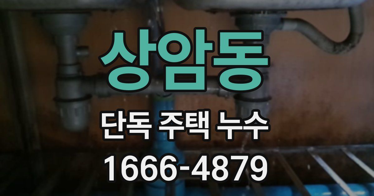 상암동 단독 주택 누수