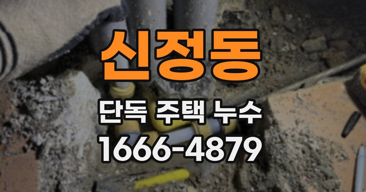 신정동 단독 주택 누수