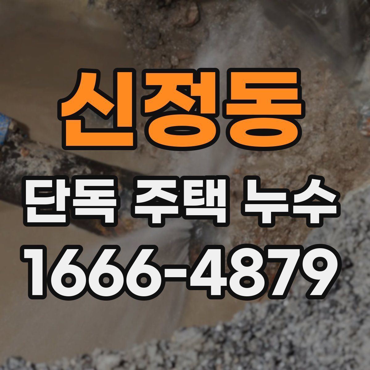 신정동 단독 주택 누수