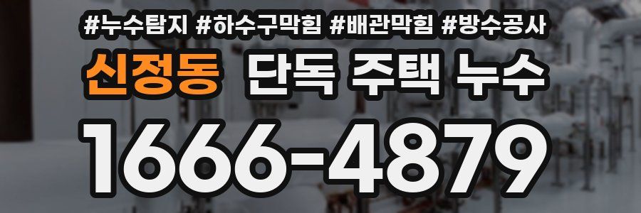 신정동 단독 주택 누수