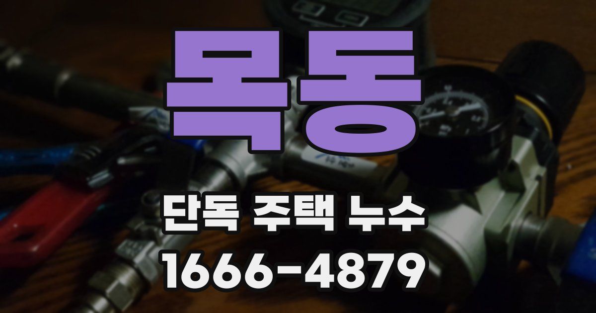 목동 단독 주택 누수