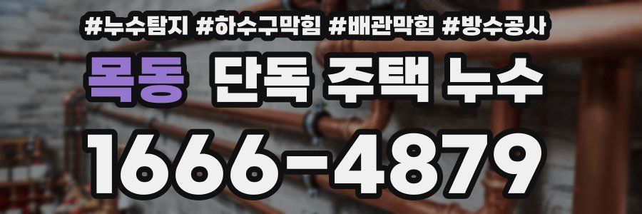 목동 단독 주택 누수