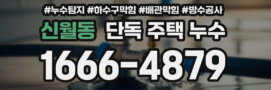 신월동 단독 주택 누수