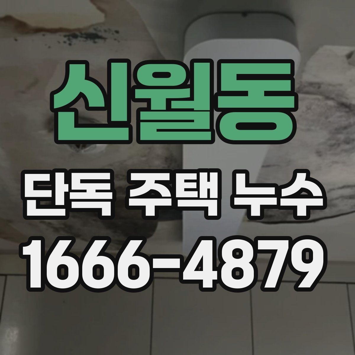 신월동 단독 주택 누수
