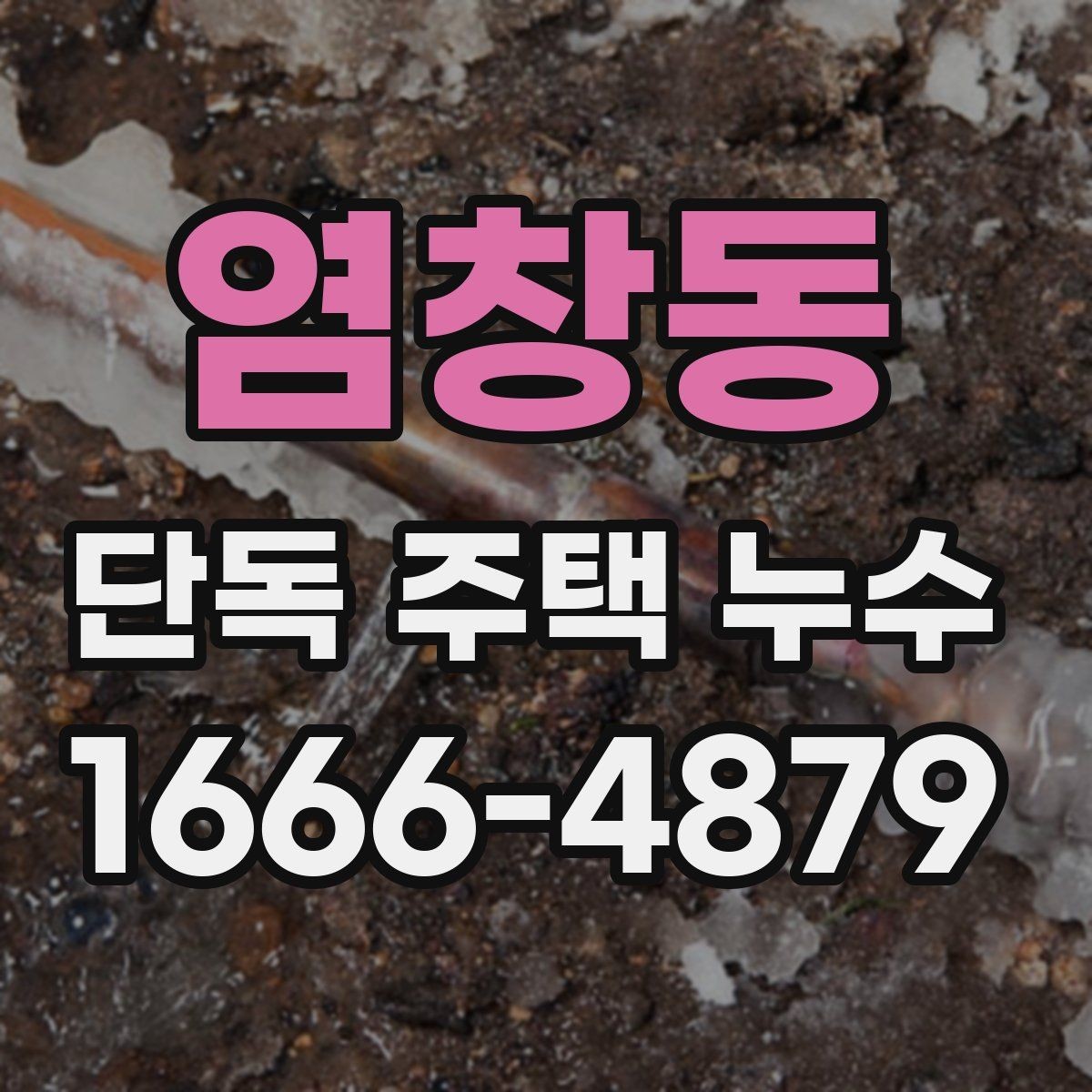 염창동 단독 주택 누수 실내 마감재 손상 범위 살펴보기