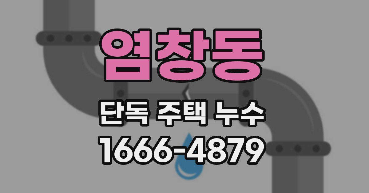 염창동 단독 주택 누수