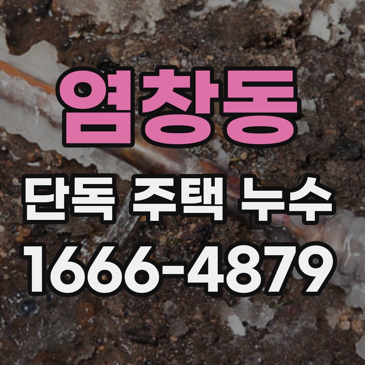 염창동 단독 주택 누수