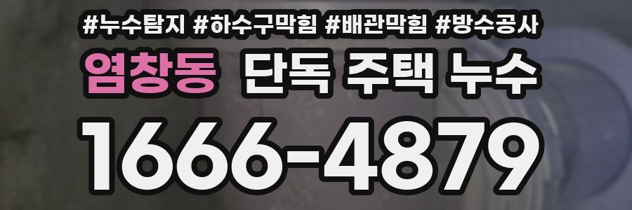 염창동 단독 주택 누수