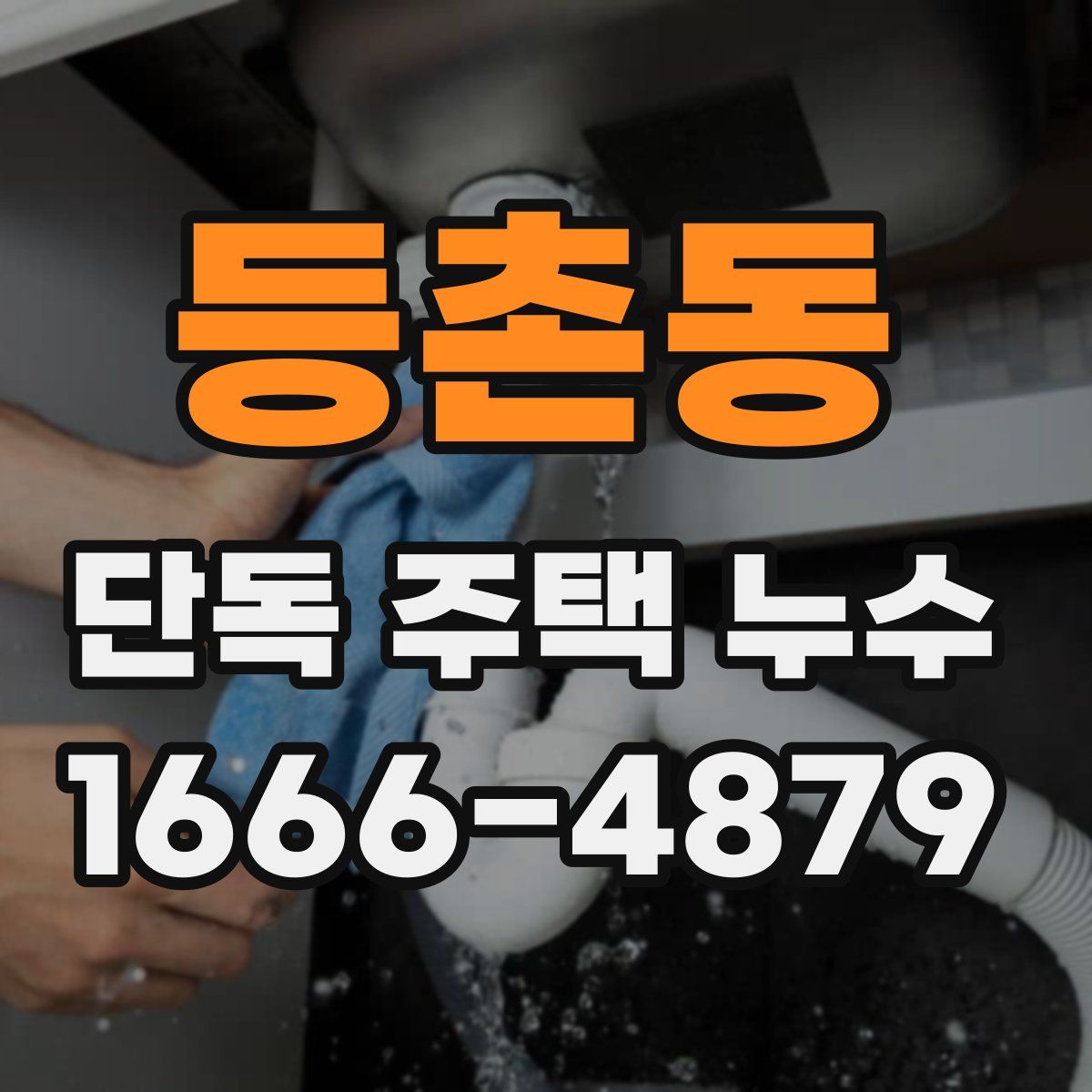 등촌동 단독 주택 누수