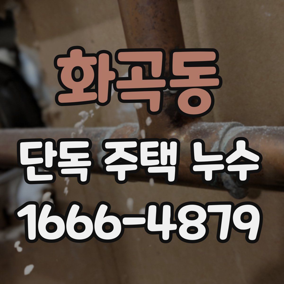 화곡동 단독 주택 누수