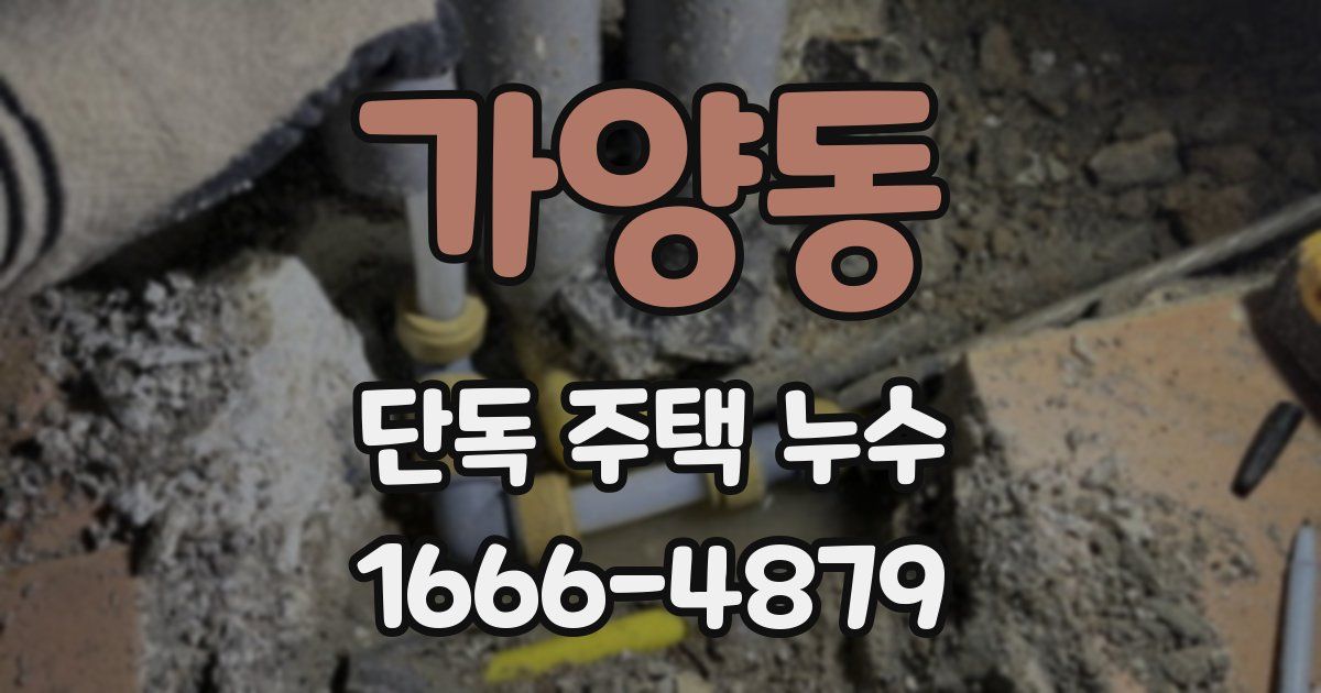가양동 단독 주택 누수