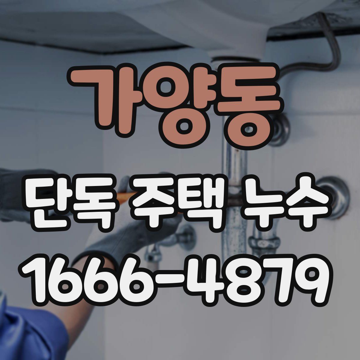 가양동 단독 주택 누수
